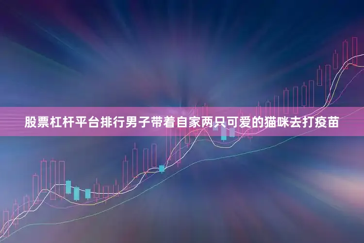 股票杠杆平台排行男子带着自家两只可爱的猫咪去打疫苗